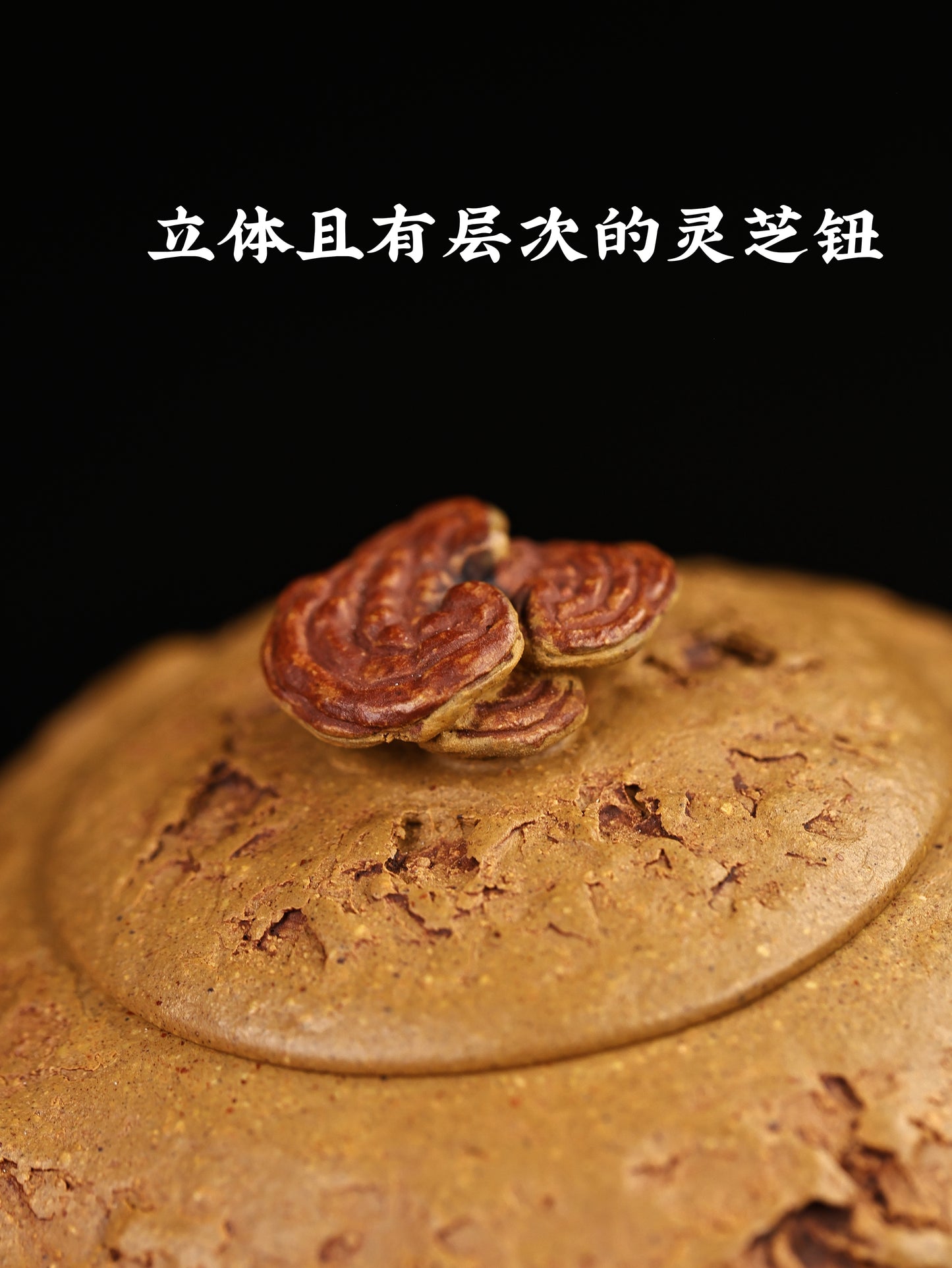 全手工隱龍供春 老段泥制 260cc