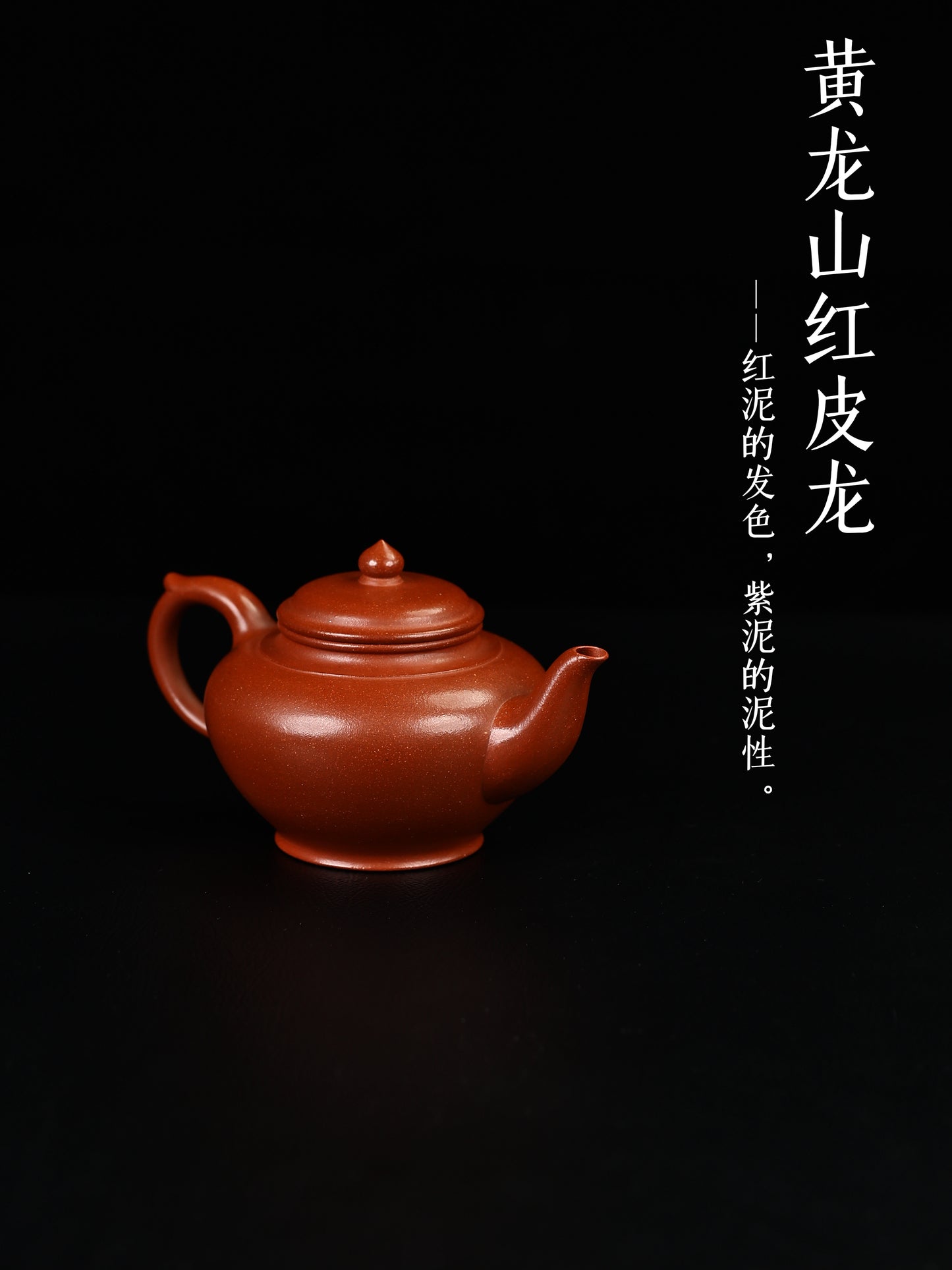 笑櫻 黃龍山紅皮龍 240cc