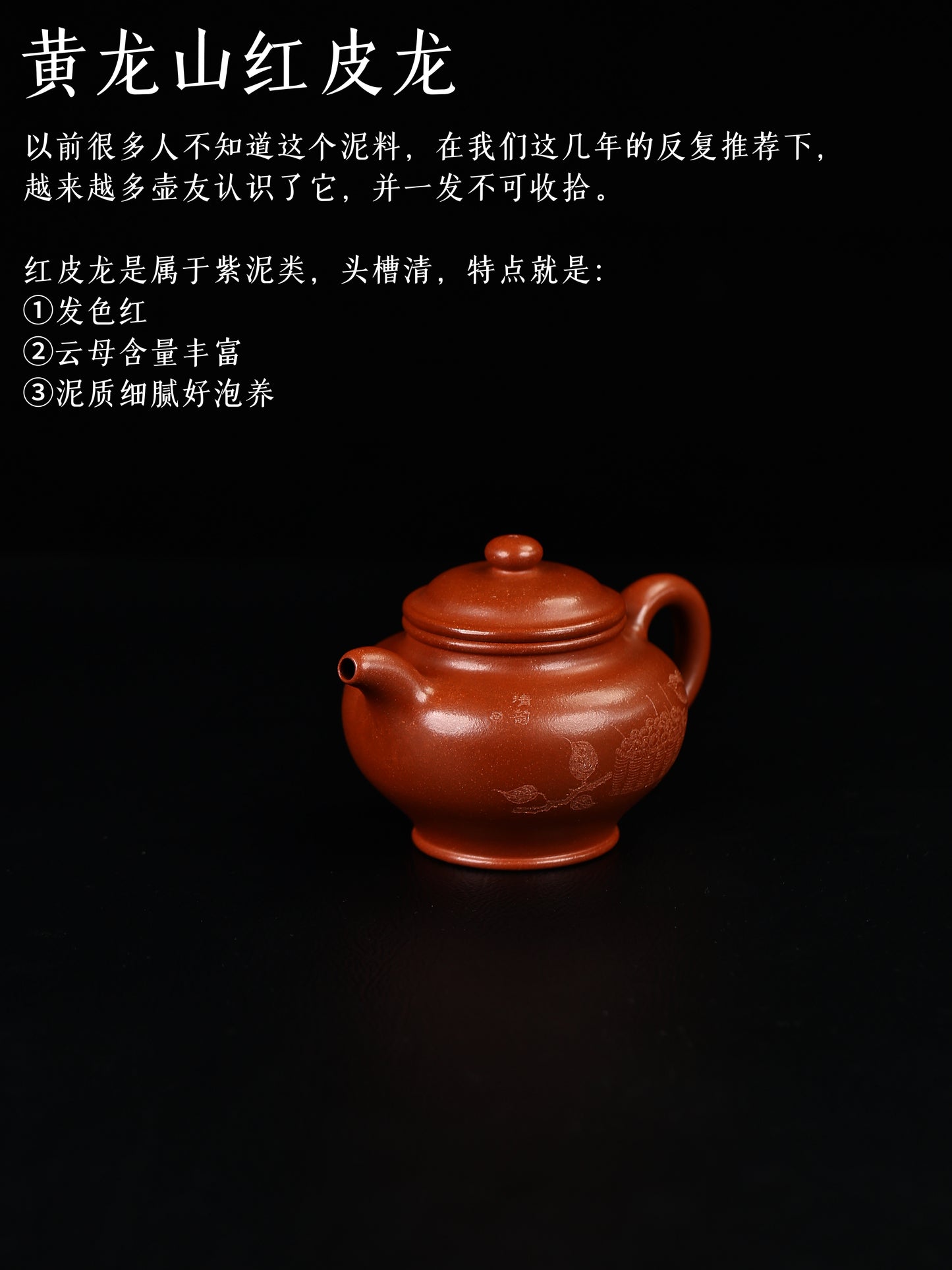 大亨掇隻 紅皮龍 180cc