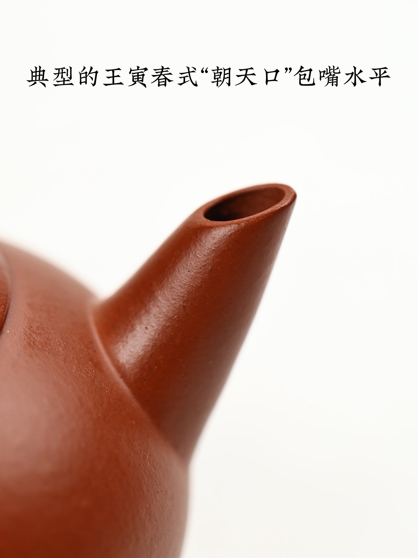 寅春式水平 朱泥 90cc