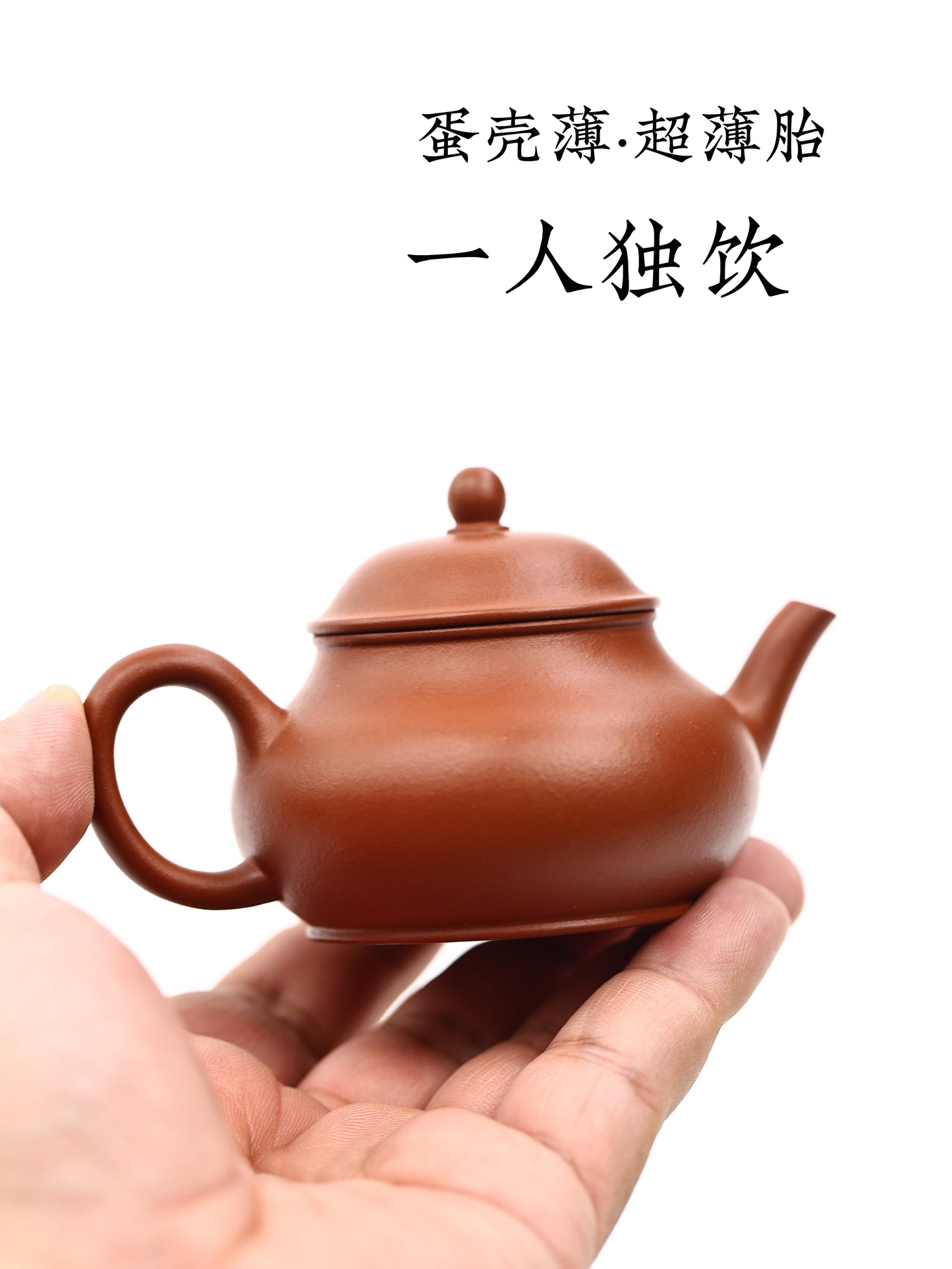 摹清|栢亭式水平 朱泥 100cc